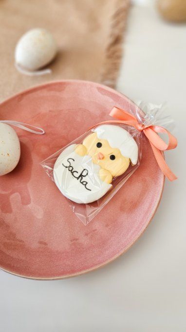 Biscuit poussin de pâques dans sa coquille
