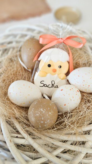 Biscuit  poussin de pâques dans sa coquille