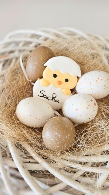 Biscuit  poussin de pâques dans sa coquille