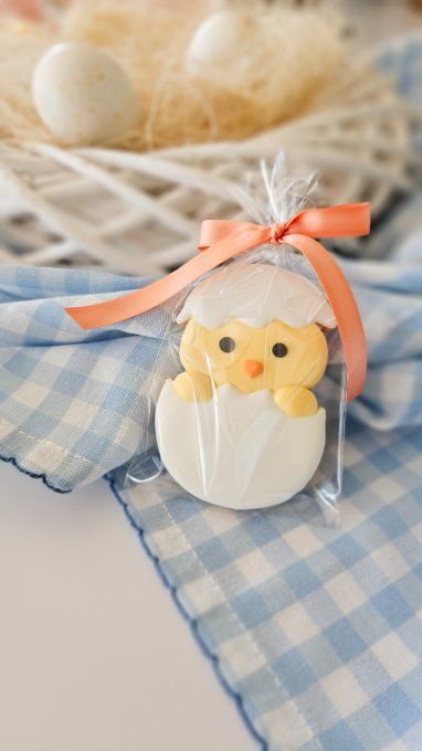 Biscuit  poussin de pâques dans sa coquille