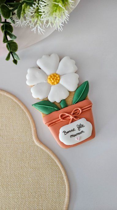 Biscuit marguerite en pot terracotta – Fête des Mères - Collection Florale 