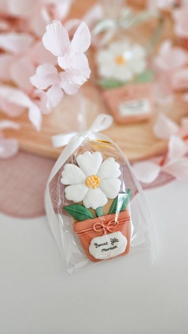 Biscuit marguerite en pot terracotta – Fête des Mères - Collection Florale