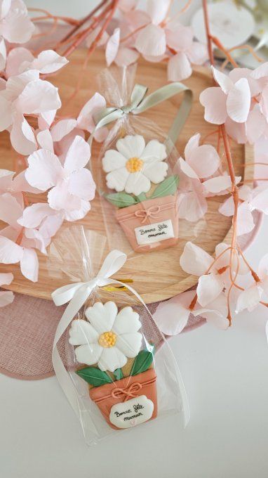 Biscuit marguerite en pot terracotta – Fête des Mères - Collection Florale 