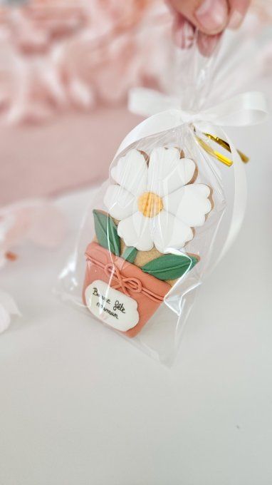 Biscuit marguerite en pot terracotta – Fête des Mères - Collection Florale 