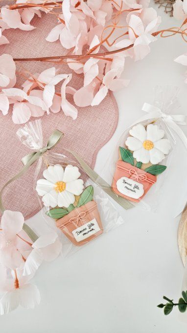 Biscuit marguerite en pot terracotta – Fête des Mères - Collection Florale 