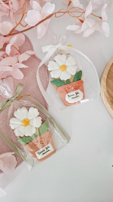 Biscuit marguerite en pot beige– Fête des Mères - Collection Florale