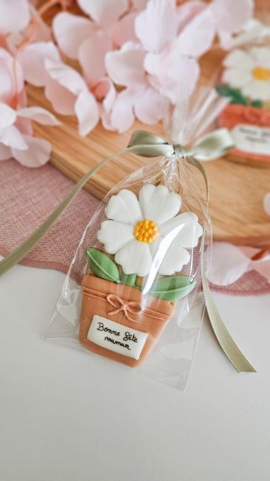 Biscuit marguerite en pot beige– Fête des Mères - Collection Florale