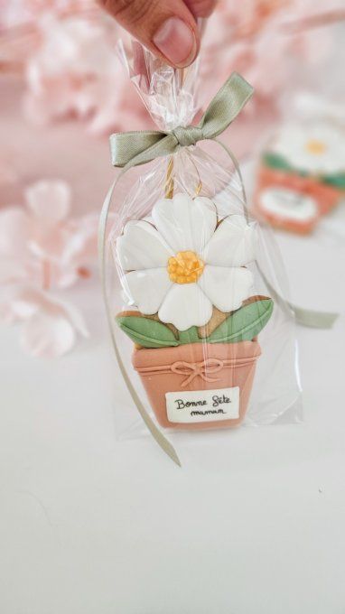 Biscuit marguerite en pot beige– Fête des Mères - Collection Florale