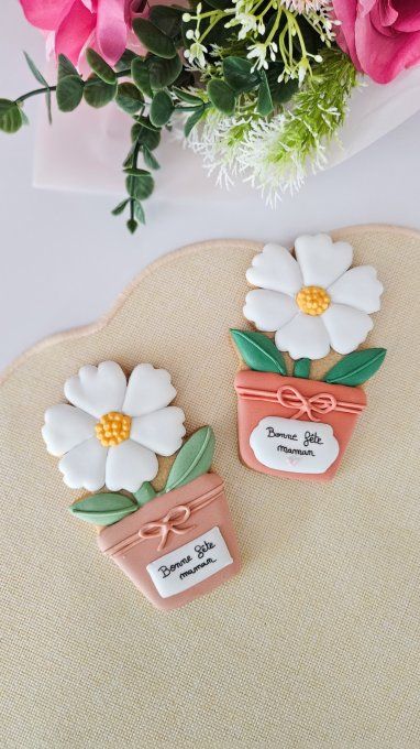 Biscuit marguerite en pot beige– Fête des Mères - Collection Florale
